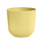 jazz rond mini 9cm cream yellow
